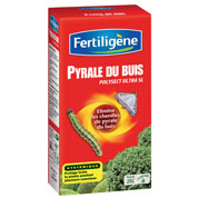 pyrale du buis - fertiligene